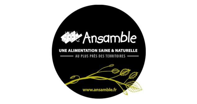 ansamble01-logoSite