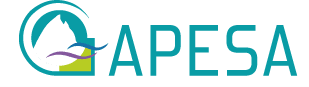 logo apesa